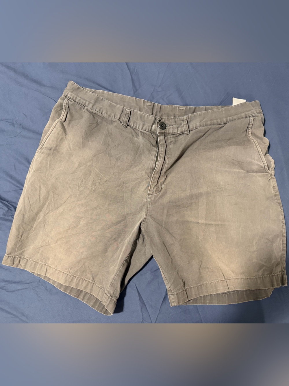 Patagonia Men's Taupe Casual Cargo Shorts